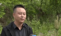 原神池子更新大爆料最新,神秘角色与珍稀道具抢先看